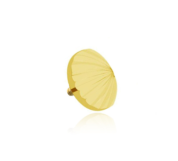 Titanium attachment shell - gold - TNA-078