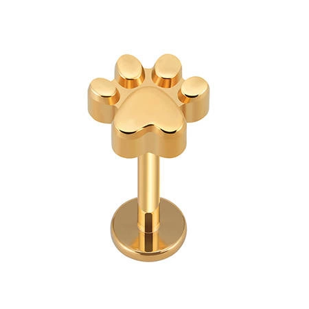 Titanium labret  - gold  paw 