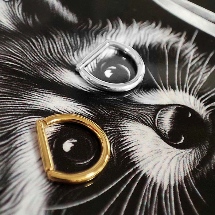 Titanium silver D-ring earring - TK-009