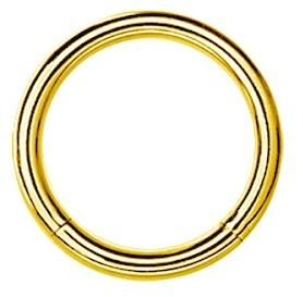 Segment type hoop ring - gold - K-001