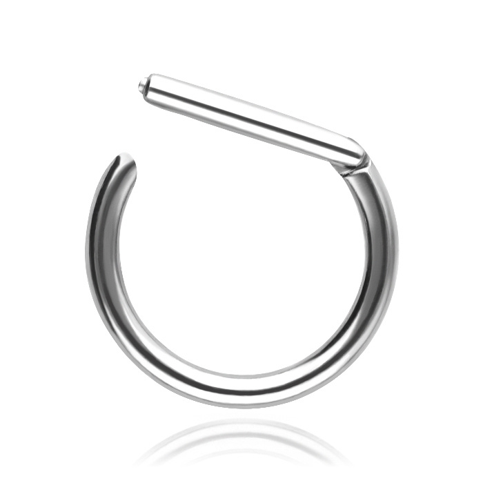 Titanium silver D-ring earring - TK-009